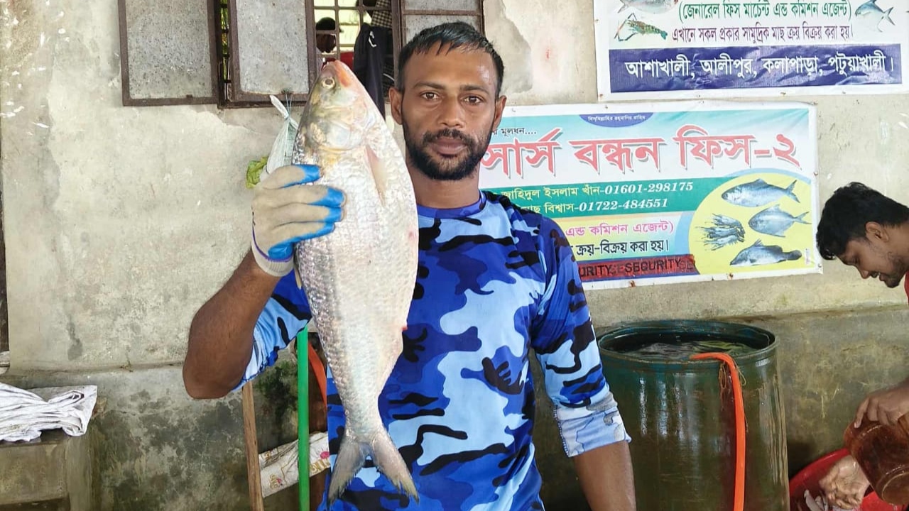 কুয়াকাটায় এক ইলিশ বিক্রি সাড়ে ৬ হাজার টাকা